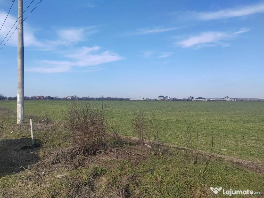 Cernica Tanganu super pret rezidential sau depozitare