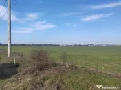 Cernica Tanganu super pret rezidential sau depozitare 