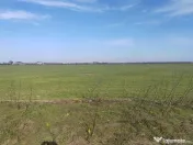 Cernica Tanganu super pret rezidential sau depozitare 