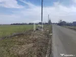 Cernica Tanganu super pret rezidential sau depozitare