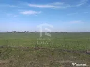 Cernica Tanganu super pret rezidential sau depozitare 