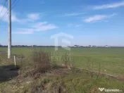 Cernica Tanganu super pret rezidential sau depozitare 