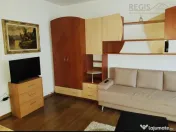 Garsoniera Decomandata Central 1,5 km Afi Mall 