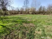 Rachitova, Casa 8 Incaperi, 3800mp Teren, Pret Negociabil 