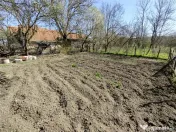 Rachitova, Casa 8 Incaperi, 3800mp Teren, Pret Negociabil 