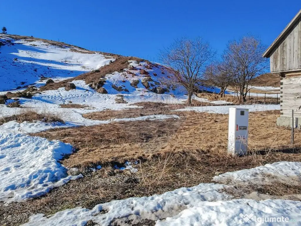 Comision 0%| Teren intravilan Sirnea 3756 mp| Priveliste ...