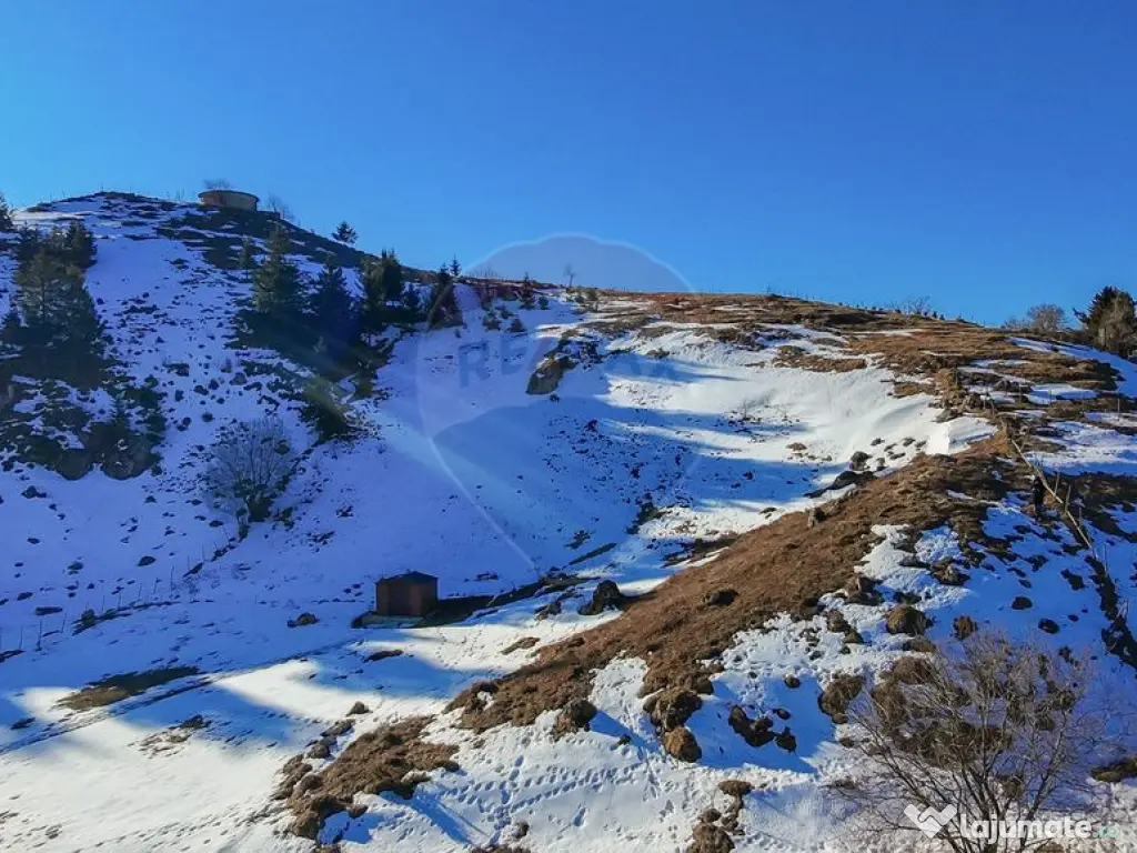 Comision 0%| Teren intravilan Sirnea 3756 mp| Priveliste ...