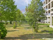 Teren cu construcție de beton, de vânzare, 3754 mp – ... 