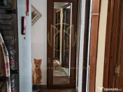 3 camere hol H, Teiul Doamnei, Maica Domnului 