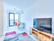 Garsoniera Hils Brauner Titan Pallady - Metrou Nicolae Tecl 