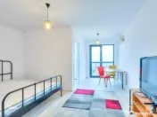 Garsoniera Hils Brauner Titan Pallady - Metrou Nicolae Tecl 