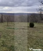 Teren intravilan Ipotești - Botosani – zonă liniștită