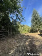 Teren , platou drept, 6000mp , Sucevita