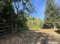 Teren , platou drept, 6000mp , Sucevita