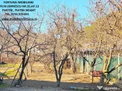 Proprietate Piatra Neamt- Casa P+M, anexa si 1000 mp teren 