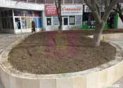 ALEXANDRIA (TR) - SE VINDE SPATIU COMERCIAL LANGA PARCUL ... 