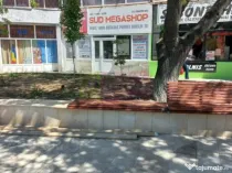 Vanzare spatiu langa parcul central in Alexandria / Teleo...