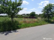 DE VANZARE 2 LOTURI LIPITE (TOTAL 16.500 MP) IN SAT TEISO... 