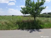 DE VANZARE 2 LOTURI LIPITE (TOTAL 16.500 MP) IN SAT TEISO... 