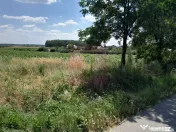 GIURGIU - SE VIND 2 TERENURI ALIPITE (TOTAL 16.600 MP) IN... 