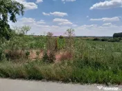 GIURGIU - SE VIND 2 TERENURI ALIPITE (TOTAL 16.600 MP) IN... 