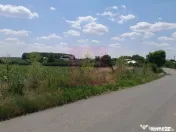 GIURGIU - SE VIND 2 TERENURI ALIPITE (TOTAL 16.600 MP) IN... 