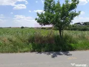 GIURGIU - SE VIND 2 TERENURI ALIPITE (TOTAL 16.600 MP) IN... 
