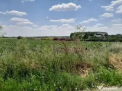 DE VANZARE 2 LOTURI LIPITE (TOTAL 16.500 MP) IN SAT TEISO... 