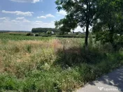 DE VANZARE 2 LOTURI LIPITE (TOTAL 16.500 MP) IN SAT TEISO... 