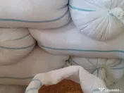 Vând semințe de mei galben