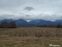 Teren de vanzare 2100mp