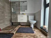 Vila moderna cu piscina si curte amenajata, Comuna Berceni 