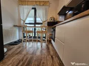 Vila moderna cu piscina si curte amenajata, Comuna Berceni 