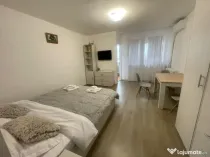 Garsonieră mobilată/utilată, 29.42 mp, zona Brazda lui No