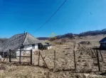 Vand teren intravilan Stejaru Bacau