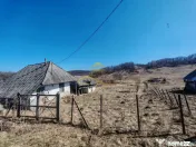 Vand teren intravilan Stejaru Bacau 