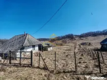 Vand teren intravilan Stejaru Bacau