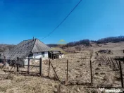 Vand teren intravilan Stejaru Bacau 