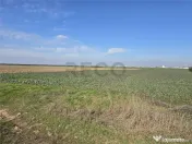 RECO Teren in Oradea 