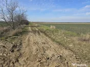 RECO Teren in Oradea 