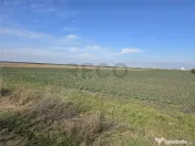 RECO Teren in Oradea 