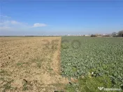 RECO Teren in Oradea 