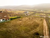 RECO Teren intravilan langa padure- PUZ aprobat -Betfia 