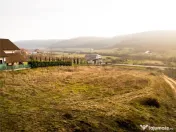 RECO Teren intravilan langa padure- PUZ aprobat -Betfia 