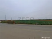 RECO teren intrare Chiribis 