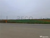 RECO teren intrare Chiribis 