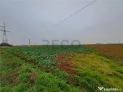 RECO teren intrare Chiribis 