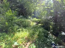 RECO Teren intravilan Boga