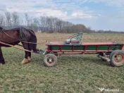 Iapa de 5 ani Foarte cuminte si ascultatoare