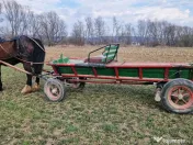 Iapa de 5 ani Foarte cuminte si ascultatoare